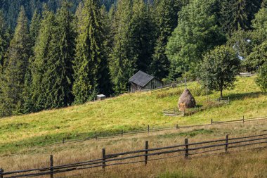 Karpat dağlarındaki dağlık alanda güzel bir manzara..