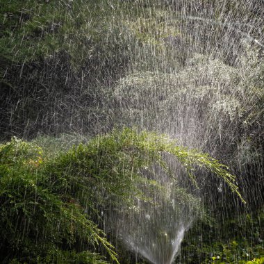 Sulama bahçesinin modern aygıtı. Sulama sistemi. Bahçede sulama tekniği. Çimen fıskiyesi yeşile su püskürtüyor.