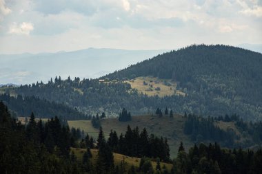 Ukrayna Karpatları 'nın dağ yamaçlarında. Dağın tepeleri ve ormanlar mavi gökyüzünün arka planında.