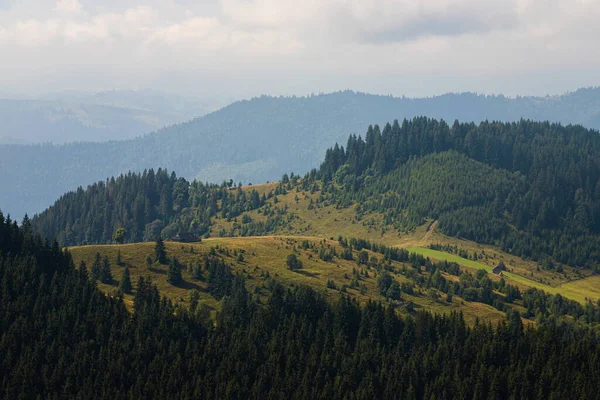 Mountain Slopes Ukrainian Carpathians Mountain Tops Forests Background Blue Sky — Stock Photo, Image