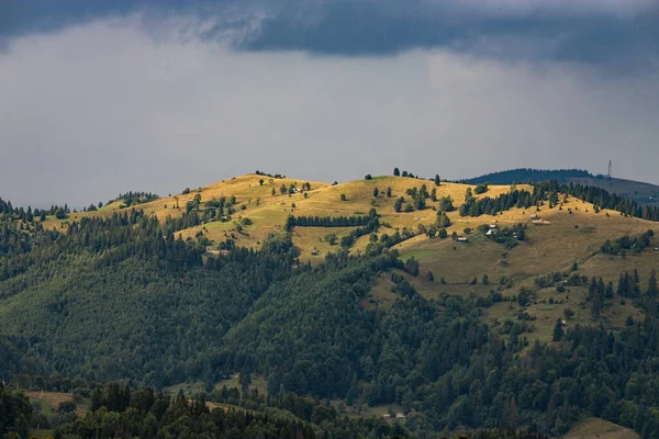 Horské Svahy Ukrajinských Karpat Vrcholy Hor Lesy Pozadí Modré Oblohy — Stock fotografie