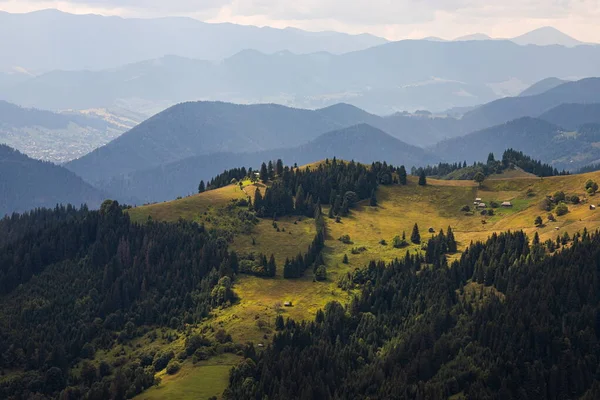 Horské Svahy Ukrajinských Karpat Vrcholy Hor Lesy Pozadí Modré Oblohy — Stock fotografie