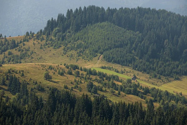 Horské Svahy Ukrajinských Karpat Vrcholy Hor Lesy Pozadí Modré Oblohy — Stock fotografie