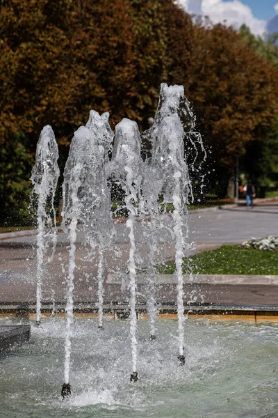 Vista da vicino nella notte di una fontana pubblica con molti piccoli getti d'acqua. Immagine naturale astratta con motivo di linee curve illuminate e gocce d'acqua luminose. — Foto Stock