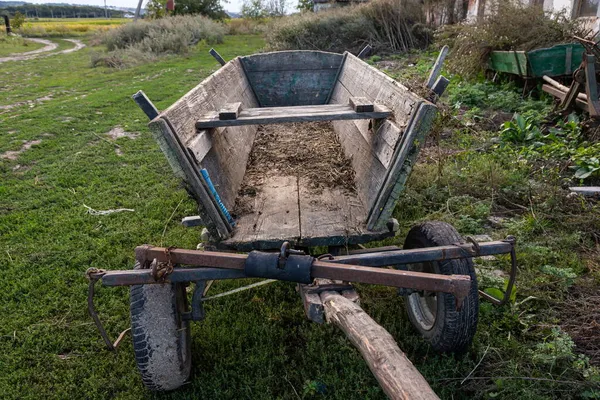 Wooden Horse Cart Green Field Garden — Stock Photo, Image