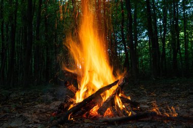 Yanan ateş. Ormanda şenlik ateşi yanıyor. Yanan ateşin dokusu. Ormanda yemek pişirmek için şenlik ateşi. Kuru dalları yakıyor. Ormanda turist yangını. Yanan dalların dokusu.