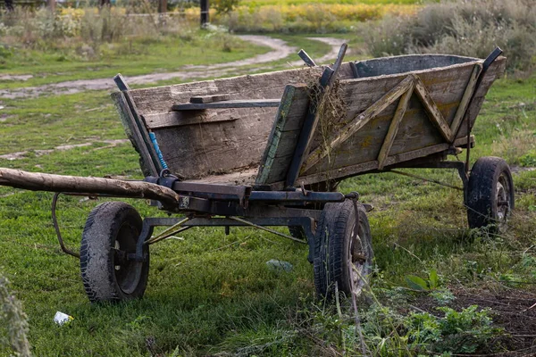 Chariot Cheval Bois Sur Domaine Vert Dans Jardin — Photo