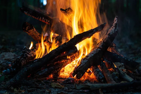 Burning fire. The bonfire burns in the forest. Texture of burning fire. Bonfire for cooking in the forest. Burning dry branches. Tourist fire in the forest. Texture of burning branches.