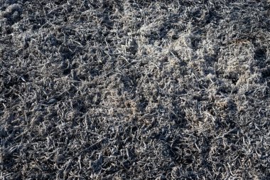 Ateşin yakın plan arkaplanı yanan samandan siyah küle ve dumana yükseliyor.