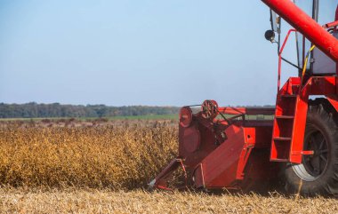 Kırmızı birleştirmek soya fasulyesi bir ürün hasadı.