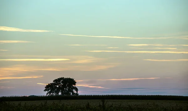 Summer Landscape Photo Dawn Sunset Beautiful Paints Painted Sky Pastel — Stock Photo, Image