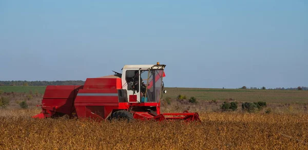 Roter Mähdrescher Erntet Sojabohnen — Stockfoto