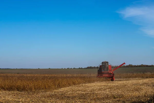Rode combineren oogst van een gewas van sojabonen — Stockfoto