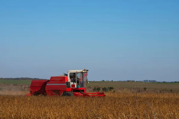 Rode combineren oogst van een gewas van sojabonen — Stockfoto
