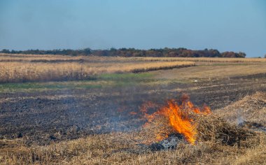 Tarım atıklarının yakılması - duman ve kirlilik. Tarımsal alanlarda saman ve saman yakmaktan zararlı emisyonlar.