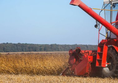 Kırmızı birleştirmek soya fasulyesi bir ürün hasadı.