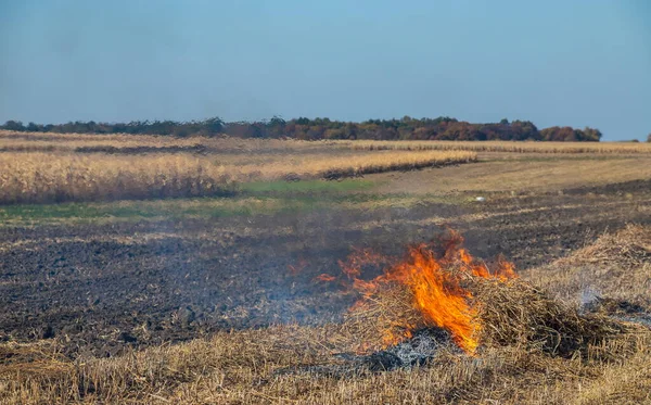 农业废物焚化 烟雾和污染 农田里焚烧干草和稻草产生的有害排放 — 图库照片