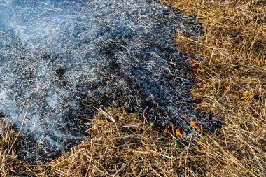 Ateşin yakın plan arkaplanı yanan samandan siyah küle ve dumana yükseliyor.