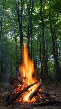 Yanan ateş. Ormanda şenlik ateşi yanıyor. Yanan ateşin dokusu. Ormanda yemek pişirmek için şenlik ateşi. Kuru dalları yakıyor. Ormanda turist yangını. Yanan dalların dokusu.