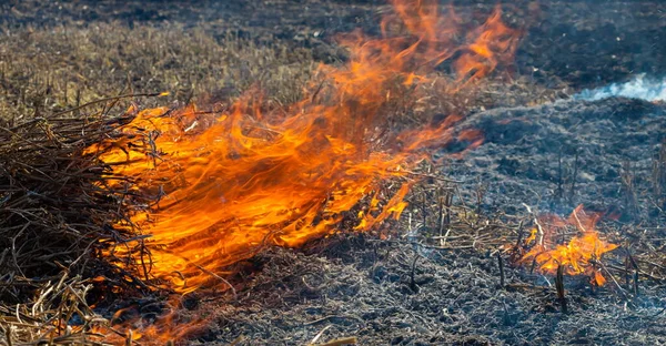 Sfondo Ravvicinato Del Fuoco Sta Salendo Dalla Paglia Che Brucia — Foto Stock