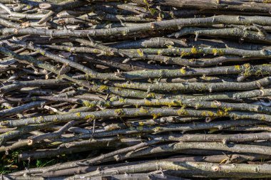 Rastgele yığılmış büyük bir odun yığını. Arkaplan Dokusu.
