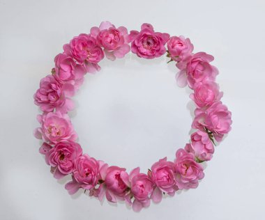 Beyaz arka planda pembe parlak güller olan dekoratif çerçeve. Düz yatıyordu