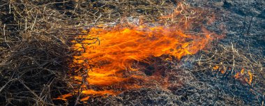 Ateşin yakın plan arkaplanı yanan samandan siyah küle ve dumana yükseliyor.