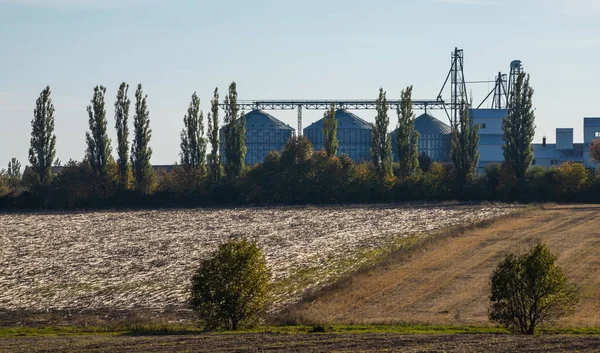 Kahverengi bir soya tarlasının arkasındaki tahıl ambar silosu sistemi ve bir sonbahar günü karanlık bulutlu bir gökyüzü altında..