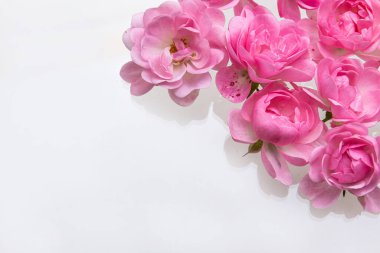 Metin için boş yeri olan pembe güller..