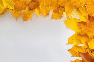 Renkli sonbahar yapraklarının kenarlık çerçevesi beyaz üzerine izole edilmiş.