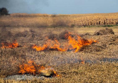Tarım atıklarının yakılması - duman ve kirlilik. Tarımsal alanlarda saman ve saman yakmaktan zararlı emisyonlar.