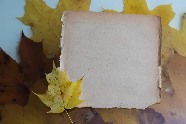 白で隔離され 古い紙のシート上の秋の紅葉 — ストック写真