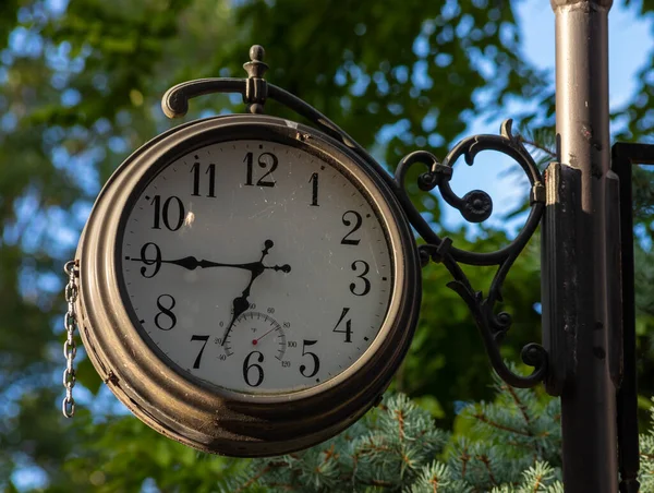 Antiguo Reloj Calle Vintage Contra Los Árboles Verdes Cielo Azul — Foto de Stock