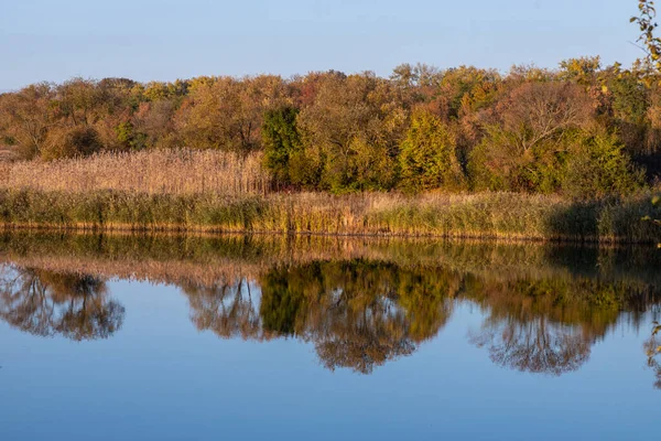 Słoneczny Jesienny Dzień Żółtymi Drzewami Jezioro Drzewami Miejsce Pod Tekstem — Zdjęcie stockowe