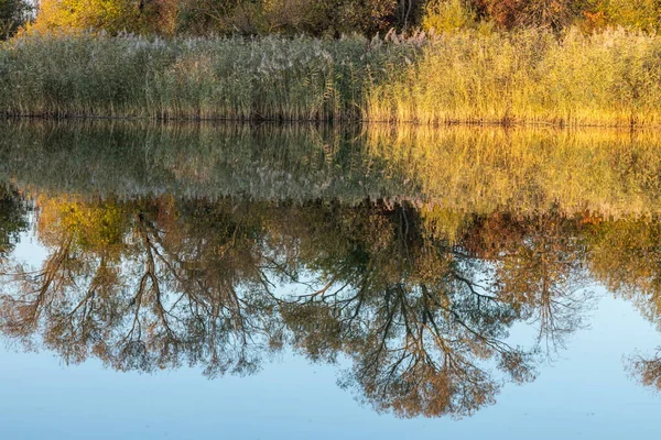 Zonnige Herfstdag Met Gele Bomen Meer Met Bomen Plaats Onder — Stockfoto