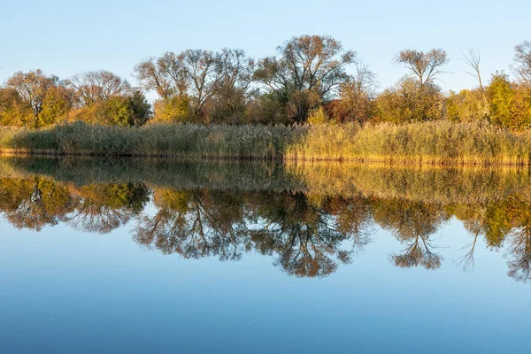 Zonnige Herfstdag Met Gele Bomen Meer Met Bomen Plaats Onder — Stockfoto