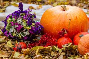 Sonbahar kompozisyonu sarı yaprakların arka planında meyve kabağı çiçekleri.