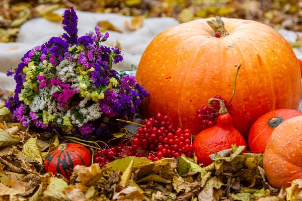 Sonbahar kompozisyonu sarı yaprakların arka planında meyve kabağı çiçekleri.