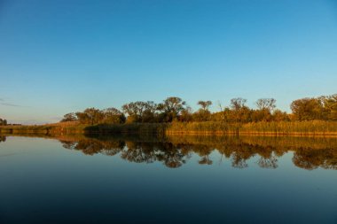 Sarı ağaçlarla güneşli bir sonbahar günü. Ağaçlı göl. Metnin altına yerleştir. Karargahta sonbahar ormanı, göl, nehir.
