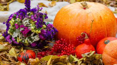 Sonbahar kompozisyonu sarı yaprakların arka planında meyve kabağı çiçekleri.