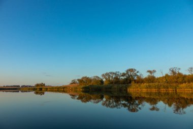 Sarı ağaçlarla güneşli bir sonbahar günü. Ağaçlı göl. Metnin altına yerleştir. Karargahta sonbahar ormanı, göl, nehir.
