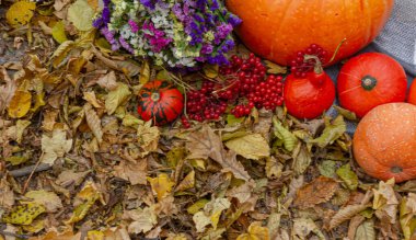 Sonbahar kompozisyonu sarı yaprakların arka planında meyve kabağı çiçekleri.