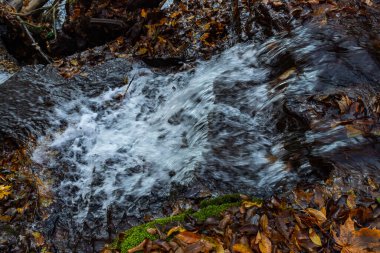 Sonbahar ormanları arasında sakin bir dağ nehri..