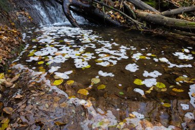 Sonbahar ormanları arasında sakin bir dağ nehri..