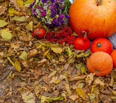 Sonbahar kompozisyonu sarı yaprakların arka planında meyve kabağı çiçekleri.