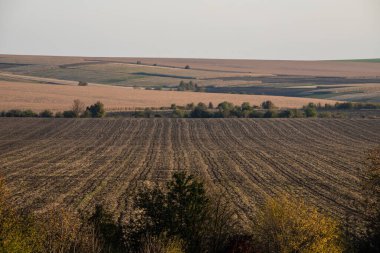 Günbatımında fotokopi alanı ile sonbahar manzarası .
