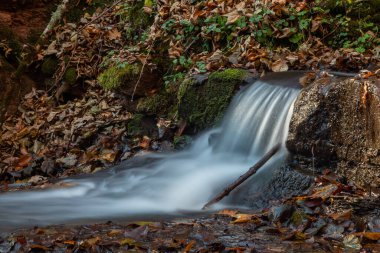 sonbahar ormanın ortasında huzurlu şelale manzarası.