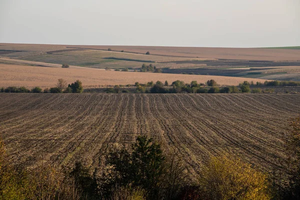 Günbatımında fotokopi alanı ile sonbahar manzarası .