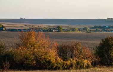 Günbatımında fotokopi alanı ile sonbahar manzarası .