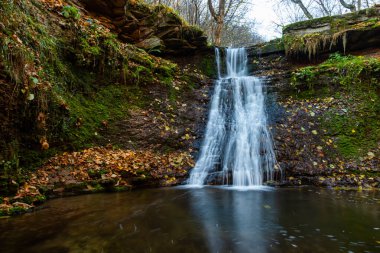 sonbahar ormanın ortasında huzurlu şelale manzarası.